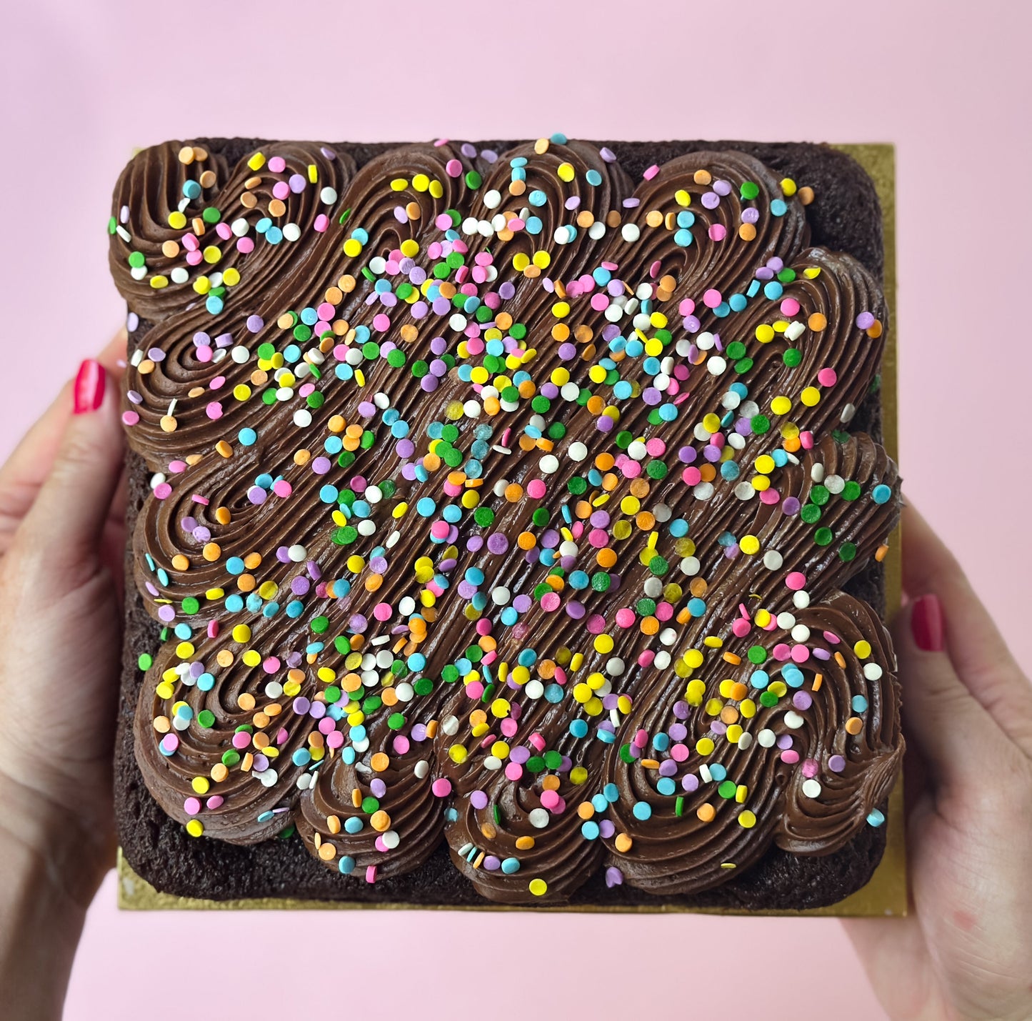 Chocolate Fudge Snack Cake